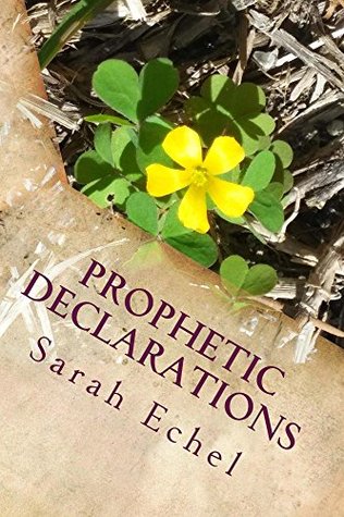 Read online Prophetic Declarations: Heaven Released Through the Power of Your Words - Sarah Echel | ePub
