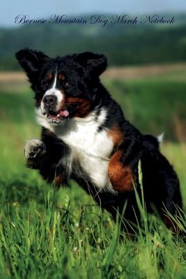 Download Bernese Mountain Dog March Notebook Bernese Mountain Dog Record, Log, Diary, Special Memories, To Do List, Academic Notepad, Scrapbook & More - Breeds Of Beauty file in PDF