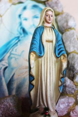 Read online A Virgen Mary Statue Journal: 150 Page Lined Notebook/Diary - NOT A BOOK | PDF
